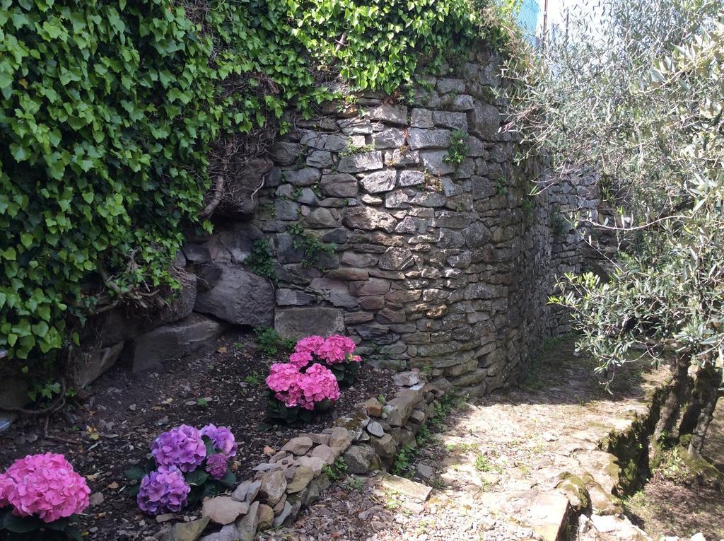 Casa Vacanze Ada Fiesole Exterior foto
